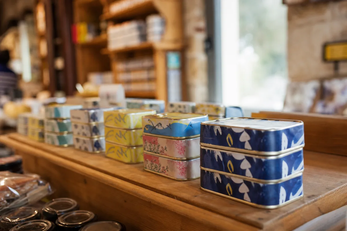 Boîtes de sardines et conserves de poisson artisanales alignées sur un présentoir en bois